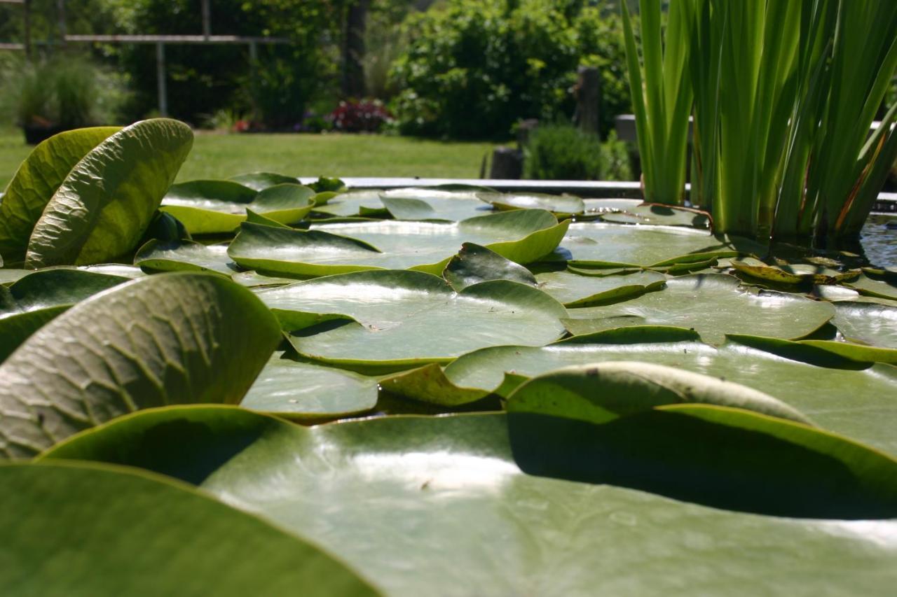 Les Jardins Des Soussilanges Bed & Breakfast Ceron ภายนอก รูปภาพ