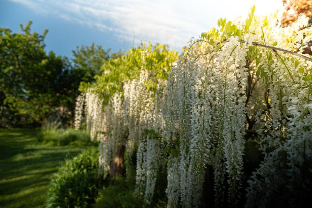 Les Jardins Des Soussilanges Bed & Breakfast Ceron ภายนอก รูปภาพ